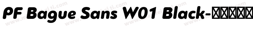 PF Bague Sans W01 Black字体转换